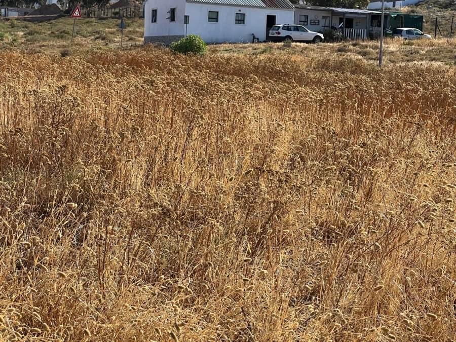 Commercial Property for Sale in St Helena Views Western Cape